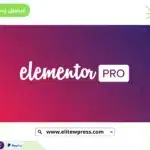 elementor pro